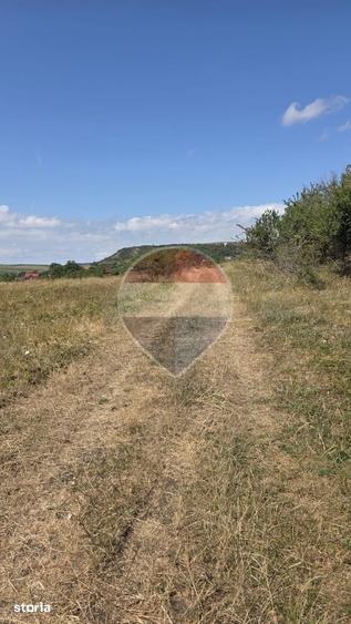 Teren intravilan de vanzare 843 mp Chinteni - 12