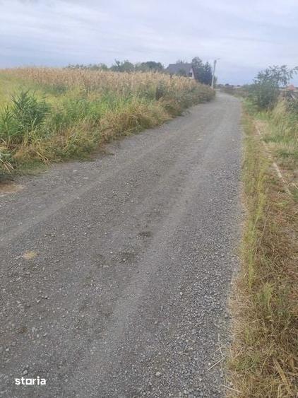 Teren de 2500 mp, în Odoreu