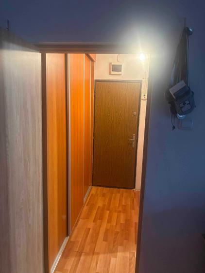 Garsonieră decomandată în Dosu Bricii