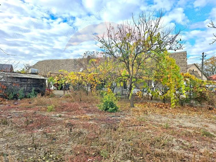 Casă cu 2 camere cu Teren 929 Mp în Vladimirescu