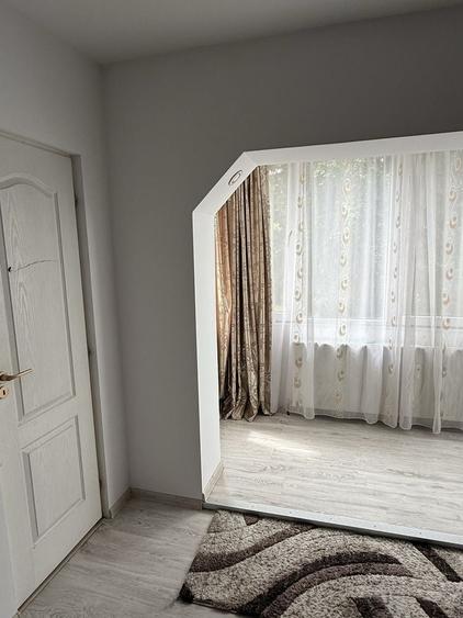 Apartament cu o camera de inchiriat in Arad - 3