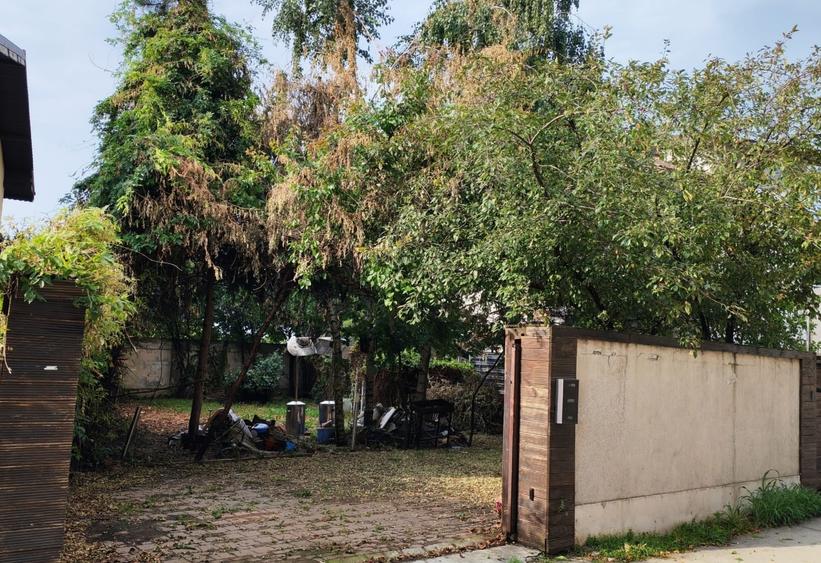 Teren Construcții intravilan de 257 mp, în Voluntari