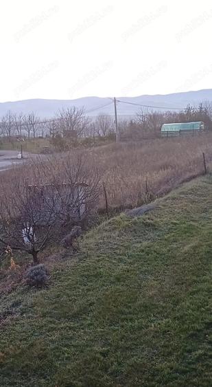Teren de 1000 mp, în Ciurila