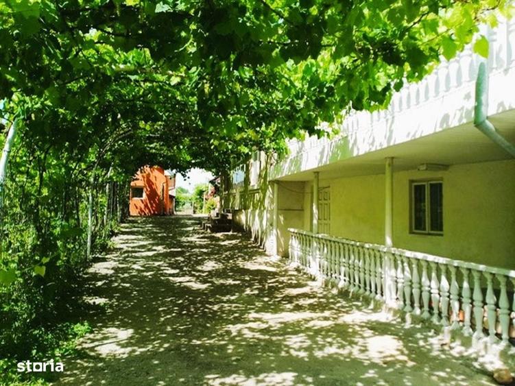 Casă cu 3 camere cu Teren 4302 Mp în Pleșoiu
