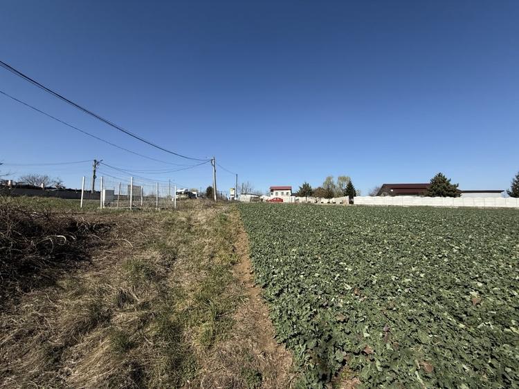 Teren Construcții intravilan de 4563 mp, în Potigrafu