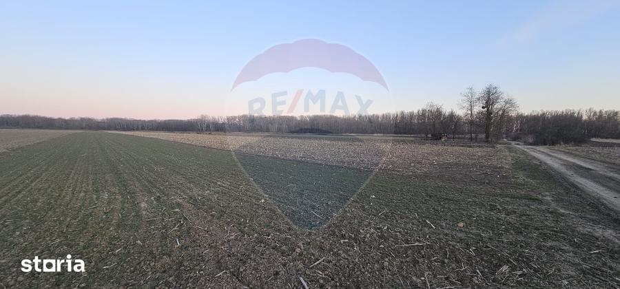 Teren de 1400 mp, în Filipești