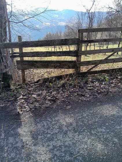 Teren de 1398 mp, în Albac