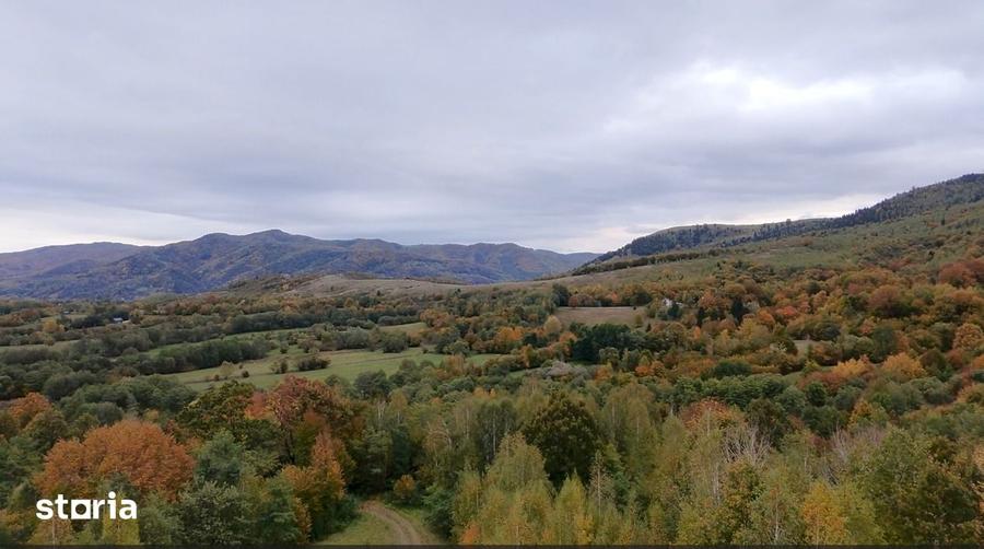 Teren de 18860 mp, în Șinca