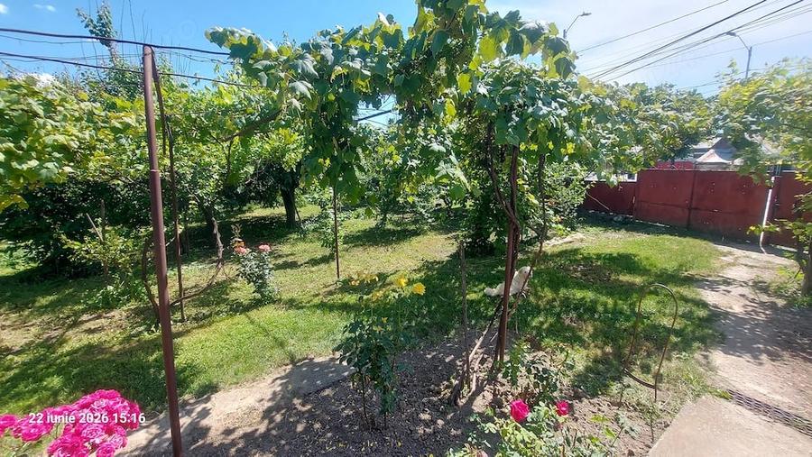 Casă cu Teren 2500 Mp în Șerbănești