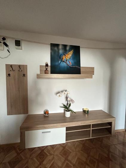 AV651 Apartament 2 camere, Lipovei, ZONA BUNA - 7