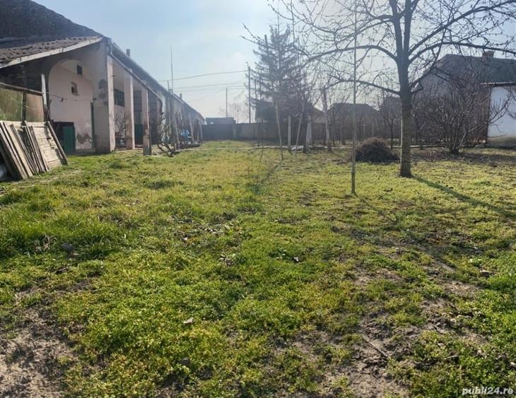 Casă individuală cu 3 camere cu Teren 3500 Mp în Cenei