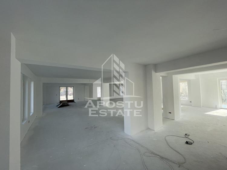 Spațiu comercial, de 238 mp, în Lipovei