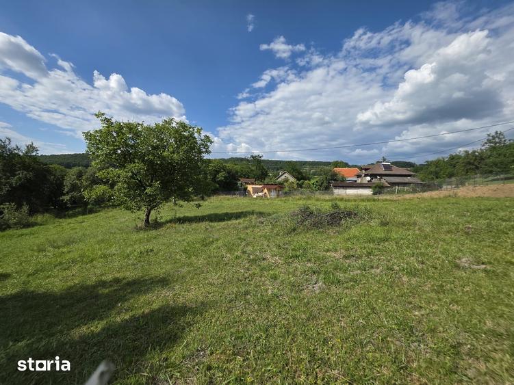 Teren intravilan de vanzare 2340 mp Pauli?, Somus jud. Hunedoara - 10