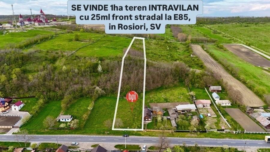 Teren Construcții intravilan de 10000 mp, în Roșiori