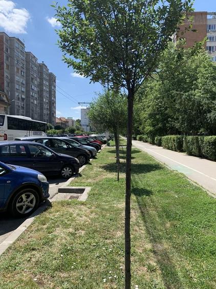 Garsonieră în Take Ionescu