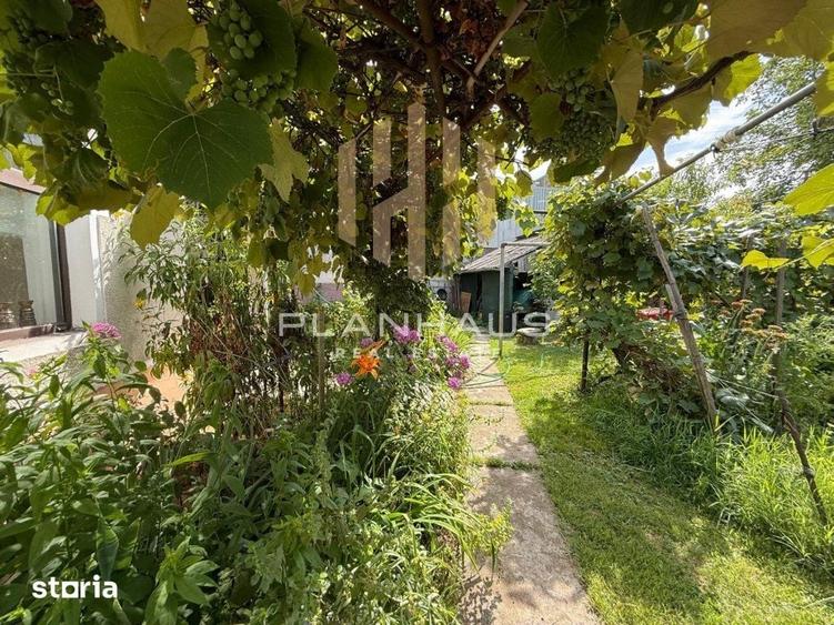 Apartament cu 4 camere în Valea Roșie