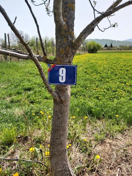 Teren Construcții intravilan de 2160 mp, în Mărăști