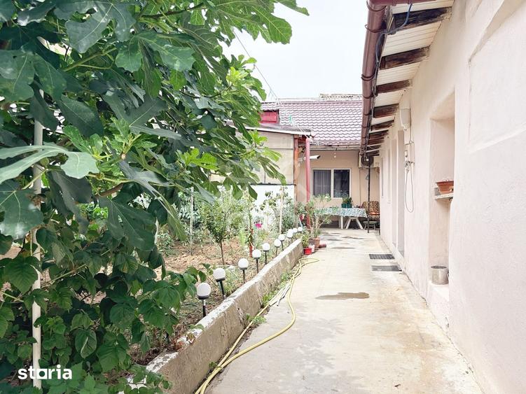 Casă cu 3 camere cu Teren 226 Mp în Calea Aradului