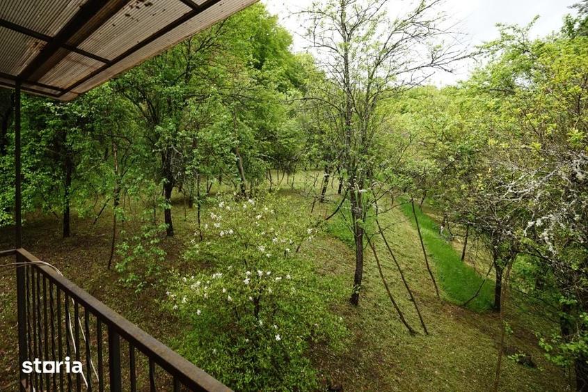 Casă cu 4 camere cu Teren 4891 Mp în Sava