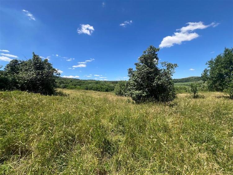 Teren Construcții intravilan de 17475 mp, în Tomești
