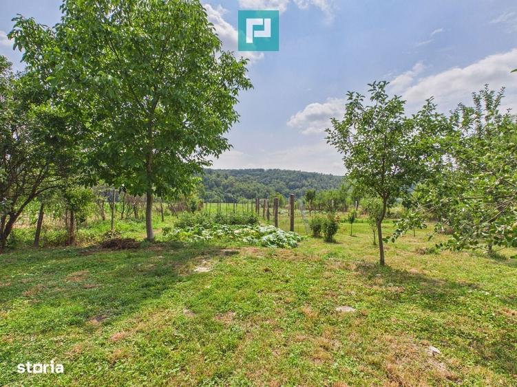 Casă cu 4 camere cu Teren 2253 Mp în Almaș