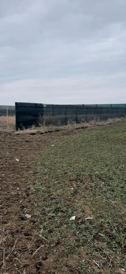Teren Construcții intravilan de 5000 mp, în Lazu