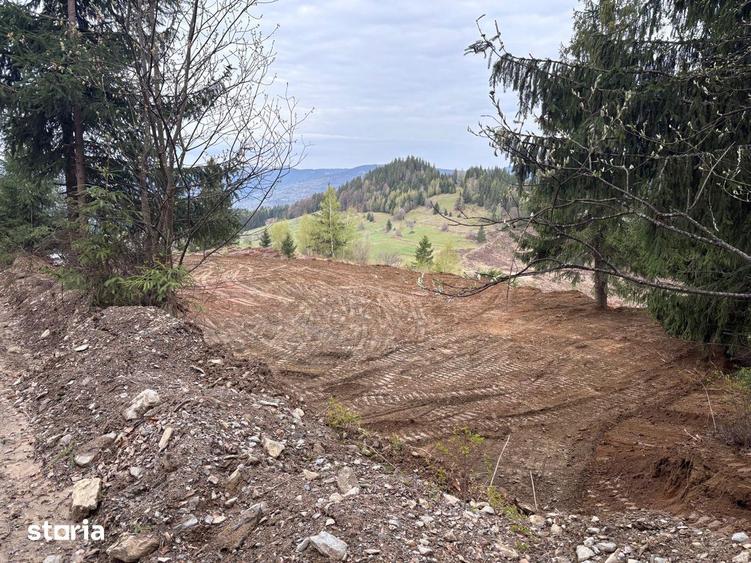 Teren de 1819 mp, în Horea