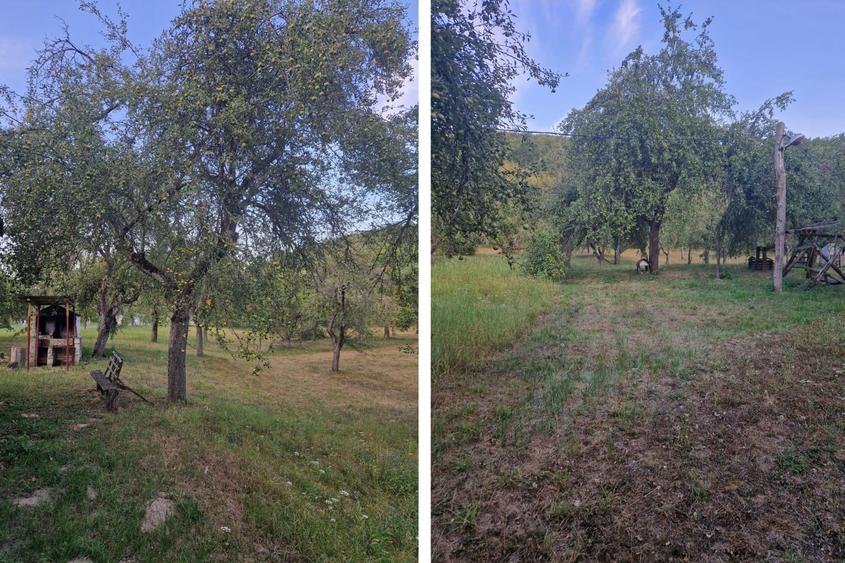 Teren Construcții extravilan de 5600 mp, în Arăneag