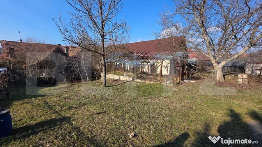 Casă cu 3 camere cu Teren 3000 Mp în Central