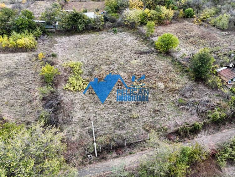 Teren Construcții intravilan de 3044 mp, în Niculițel