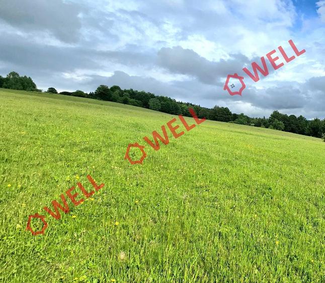 Teren agricol extravilan de 9289 mp, în Vama Buzăului