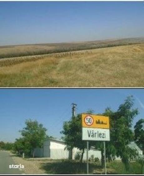 Teren de 6000 mp, în Vârlezi