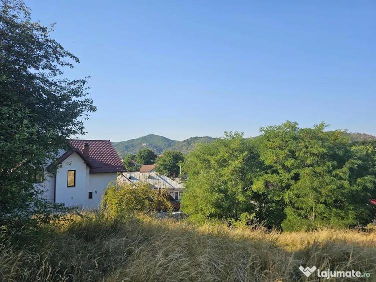 Teren de 4300 mp, în Humulești