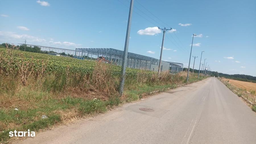 Teren Buftea Intravilan langa A0 ideal pentru hale industriale - 7