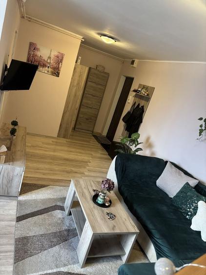 Apartament cu 2 camere în Terezian