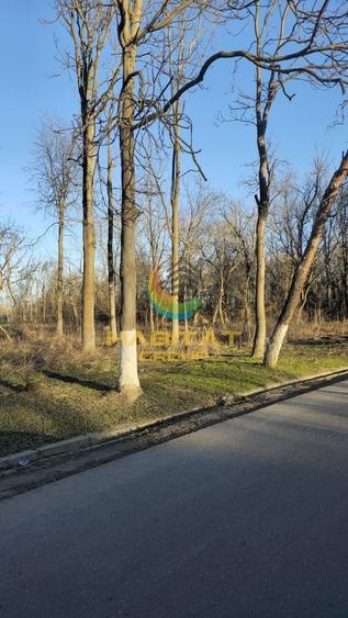 Teren Construcții intravilan de 15400 mp, în 1 Decembrie