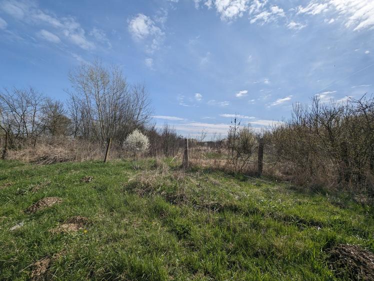 Teren agricol intravilan de 22500 mp, în Balinț