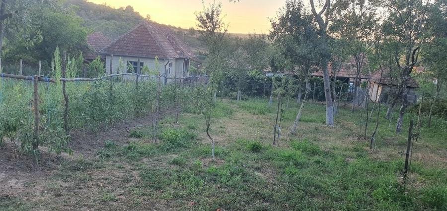 Casă cu 4 camere în Domnin