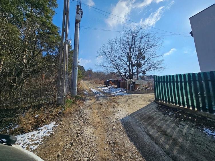 Teren de 3000 mp, în Bucium