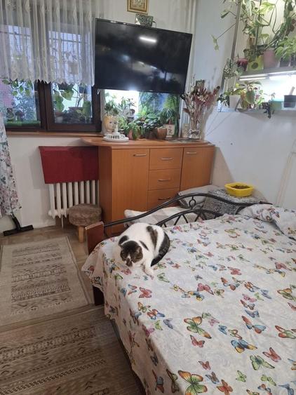 Apartament cu 3 camere semidecomandat în Brâncoveanu