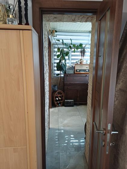 Apartament cu 2 camere decomandat în Rovine