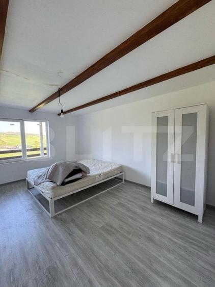 Casă individuală cu 6 camere cu Teren 8700 Mp în Mihai Viteazu