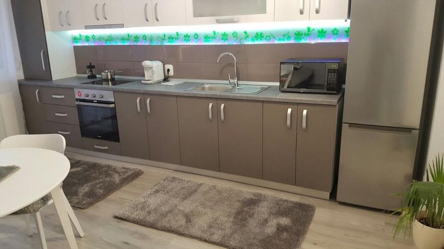 Apartament 2 camere in Calea Buziasului - 3