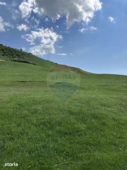 Teren de 1000 mp, în Gârcina
