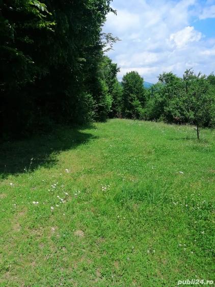 Teren de 4500 mp, în Albești