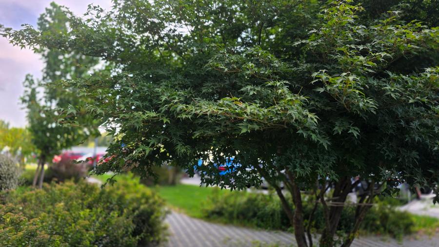 Apartament cu 2 camere semidecomandat în Bd. Laminorului