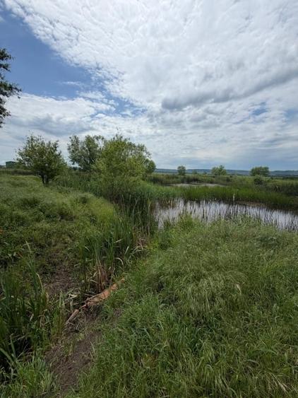 Teren agricol extravilan de 6000 mp, în Exterior Vest