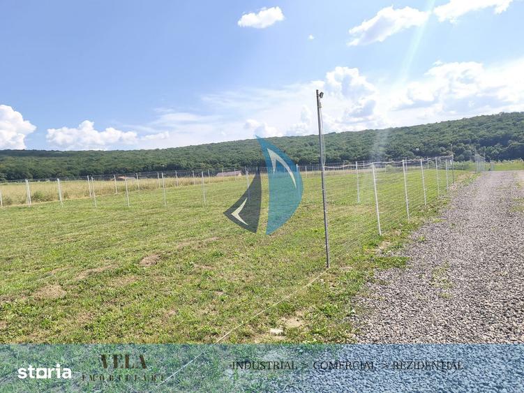 Parcele de teren intravilan in Livezeni - 3