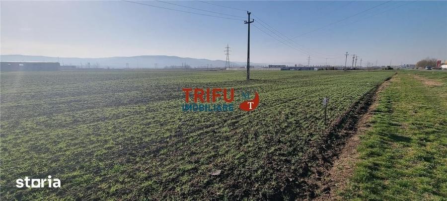 Teren de 11600 mp, în Sântimbru
