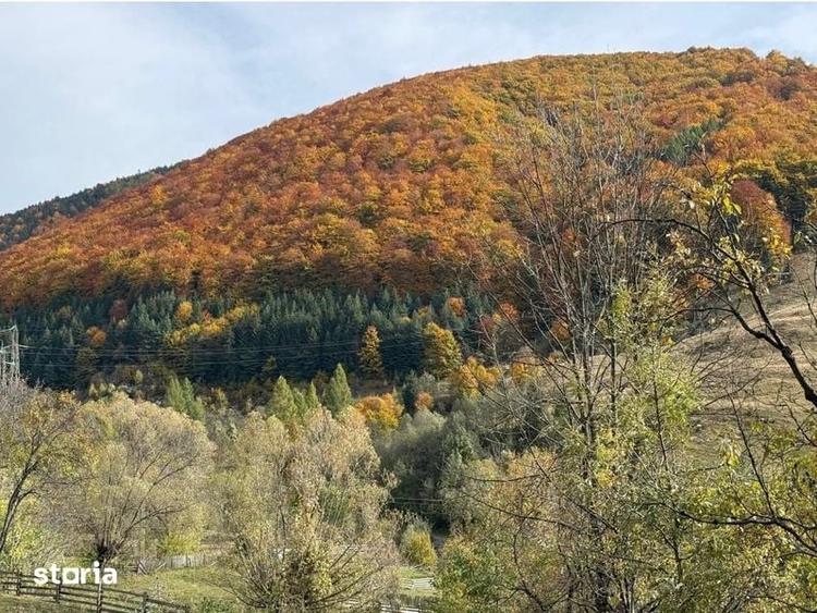 Teren intravilan 1.131 mp | Valea Doftanei | panorama spre munte - 1